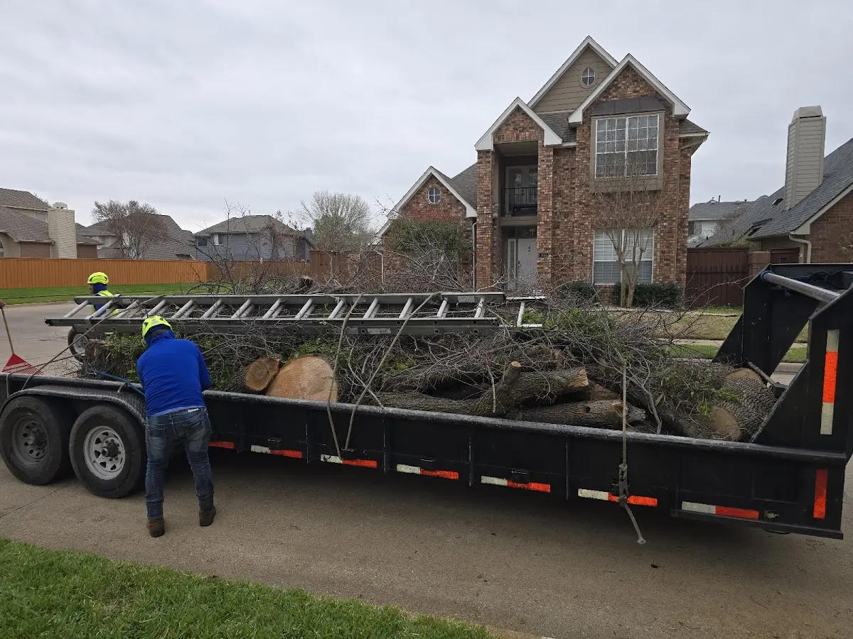 Expert Tree Pest Control with proper safety equipment in Hillside